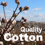Quality-Cotton